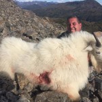 Mountain_Goat_12