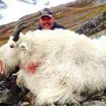 Mountain_Goat_14