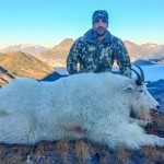 Mountain_Goat_18