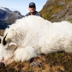 Mountain_Goat_5