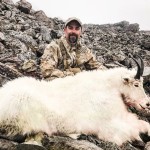 Mountain_Goat_7