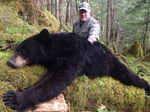 Alaska Black Bear Hunting