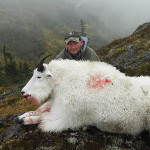 Mountain Goat Hunting