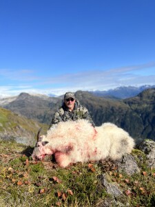 Mountain Goat Hunting