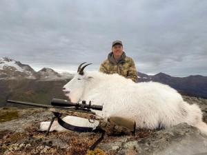 mountain_goat_1