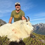 mountain_goat_3