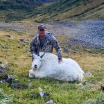 mountain_goat_4