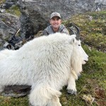 mountain_goat_5
