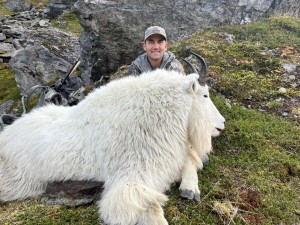 mountain_goat_5
